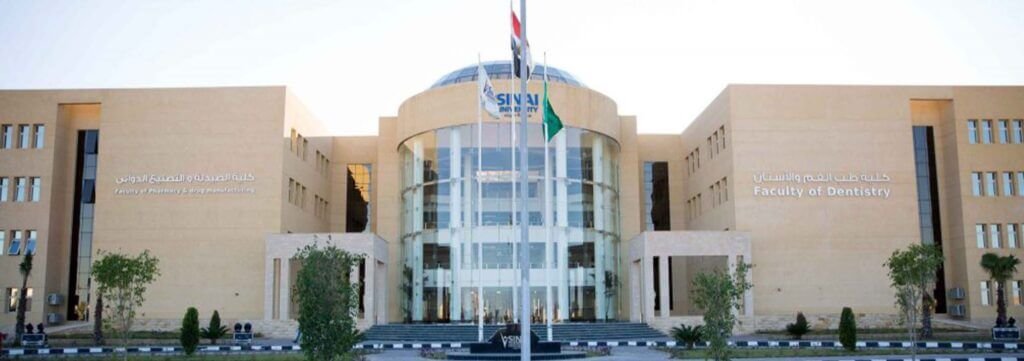 جامعة سيناء