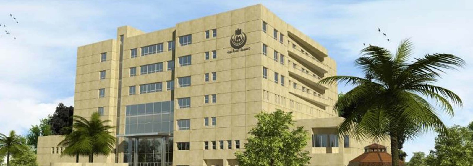 Aswan General Hospital